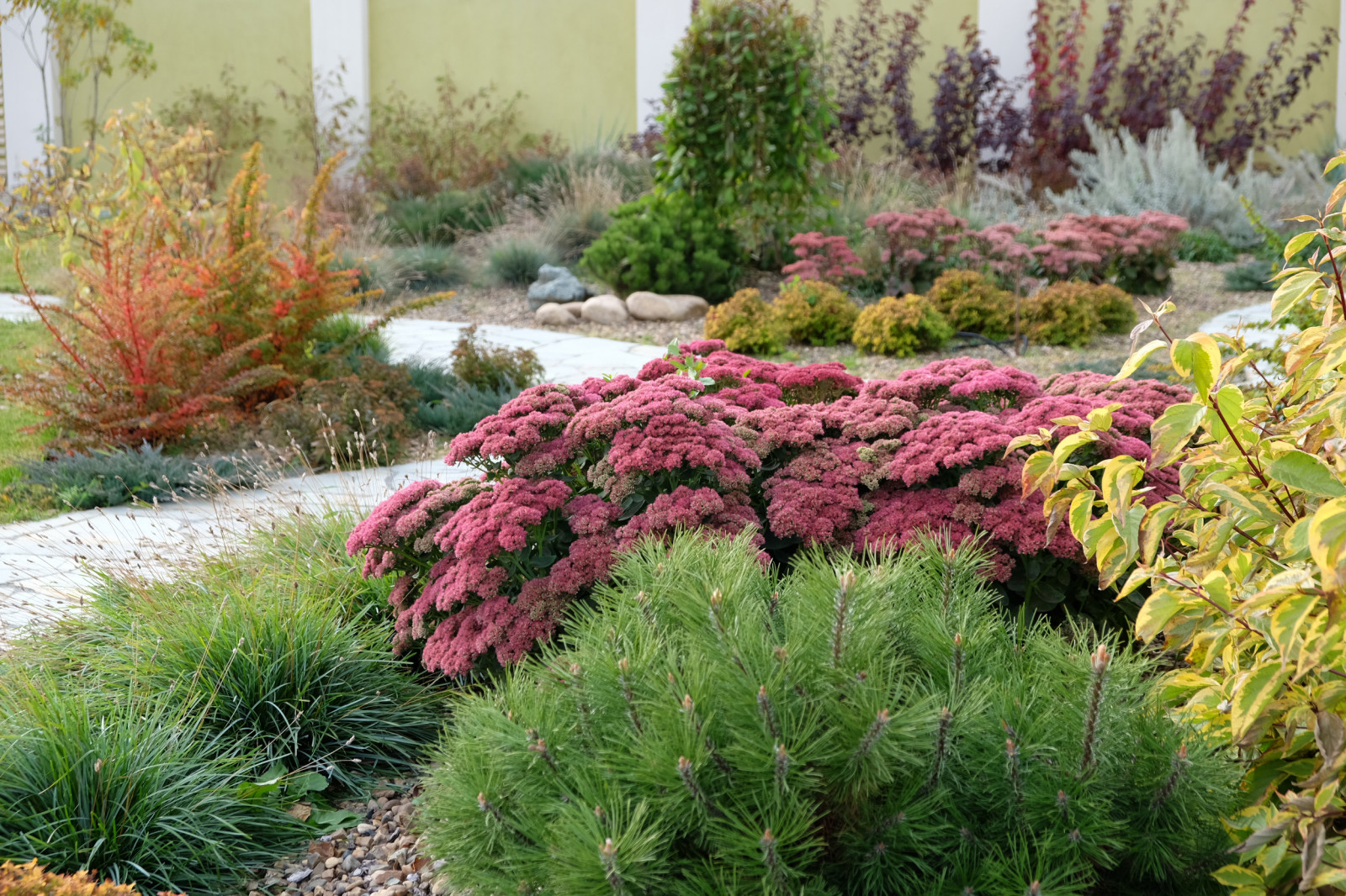 ДЫХАНИЕ ВЕТРА