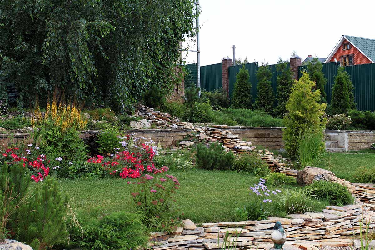 Деревня Алексино Истринского района