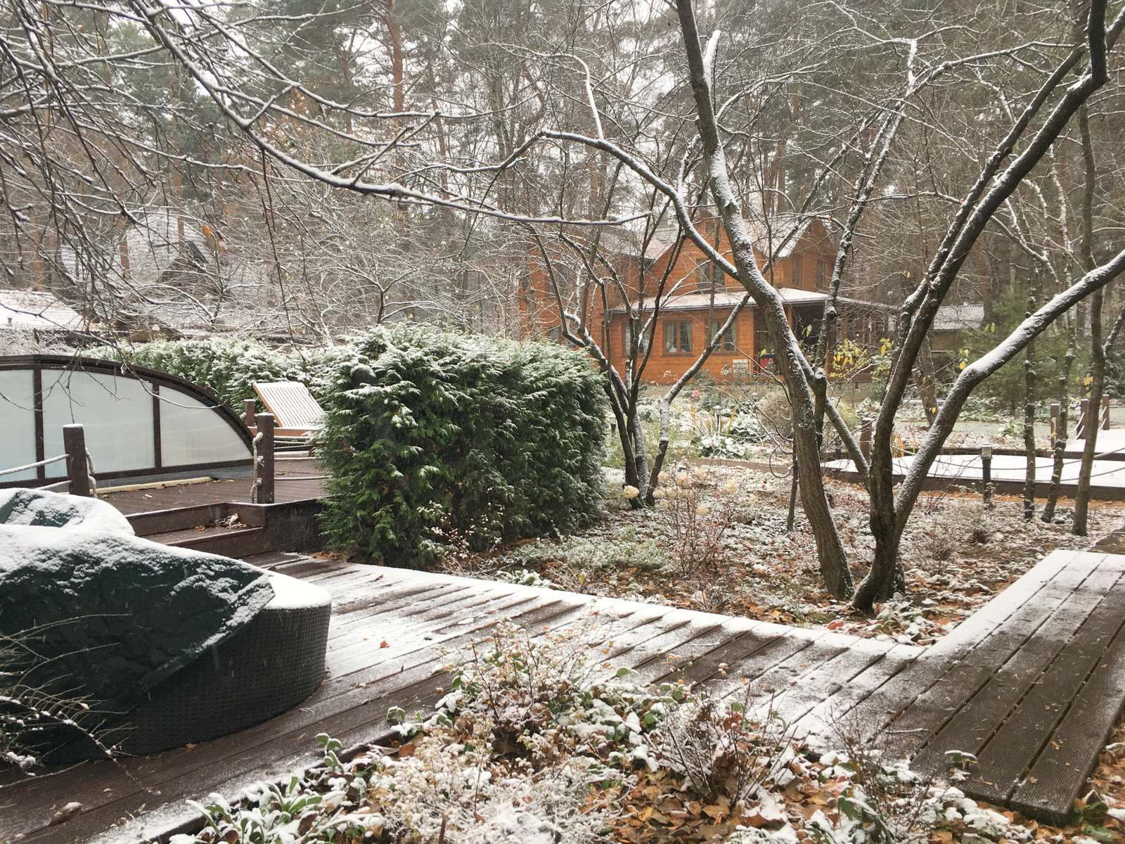 Белкин Сад. Предзимье 2019