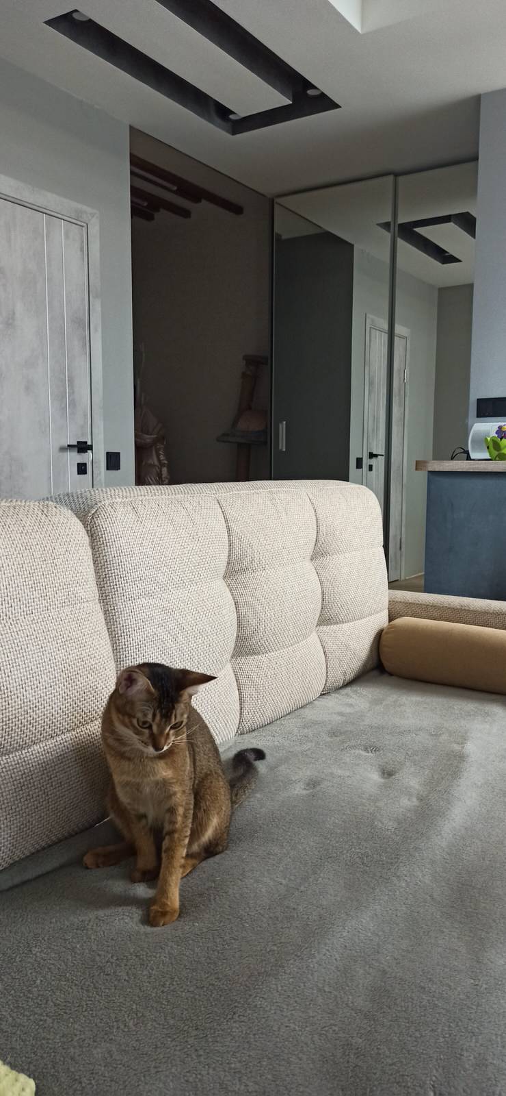 Современный интерьер с элементами лофта и сканди.