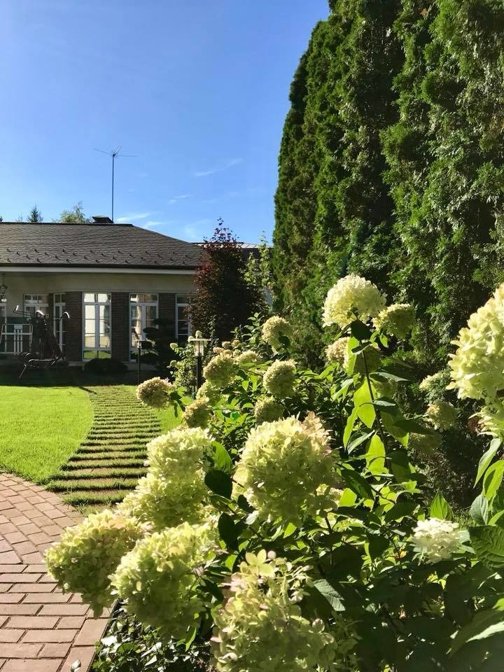 лесная рапсодия