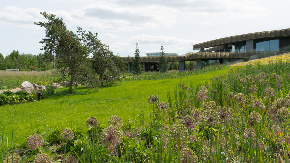 Природный сад. Жуковка XXI век. 2017-2018 гг.