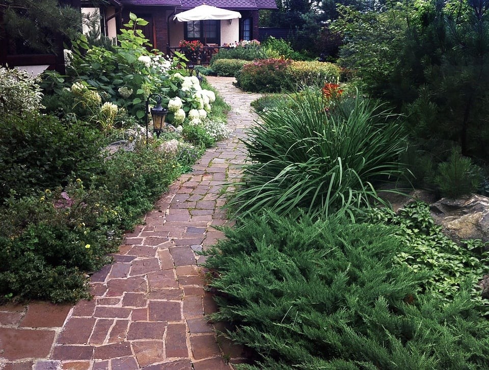 Ильинское шоссе. 50 соток.