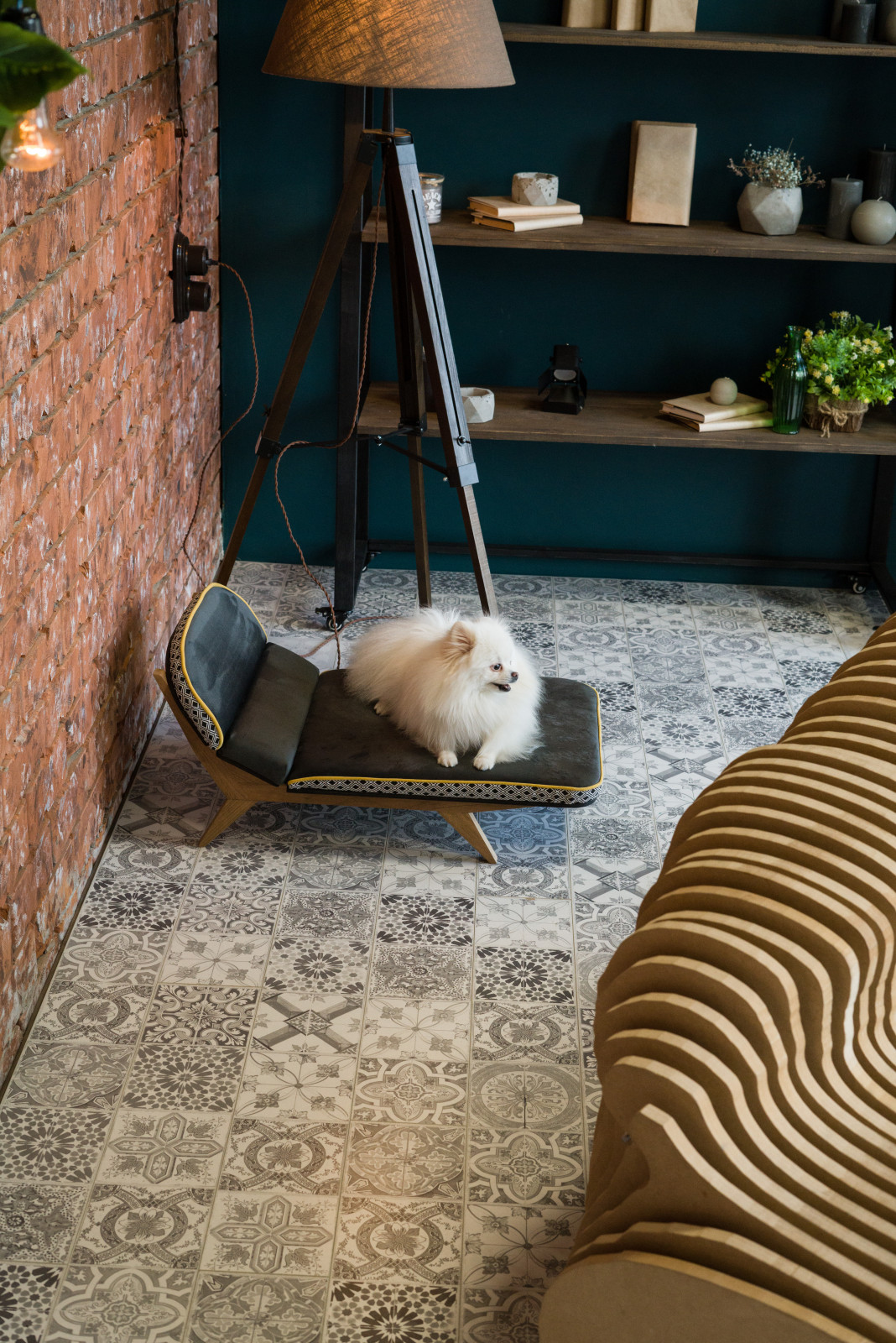 Авторская софа для собак - LIMA