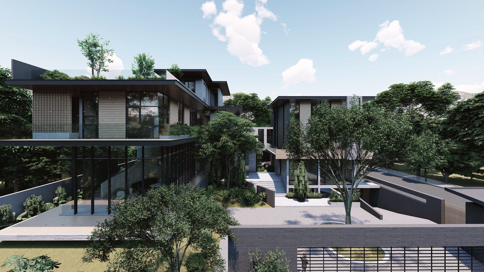 Modern House