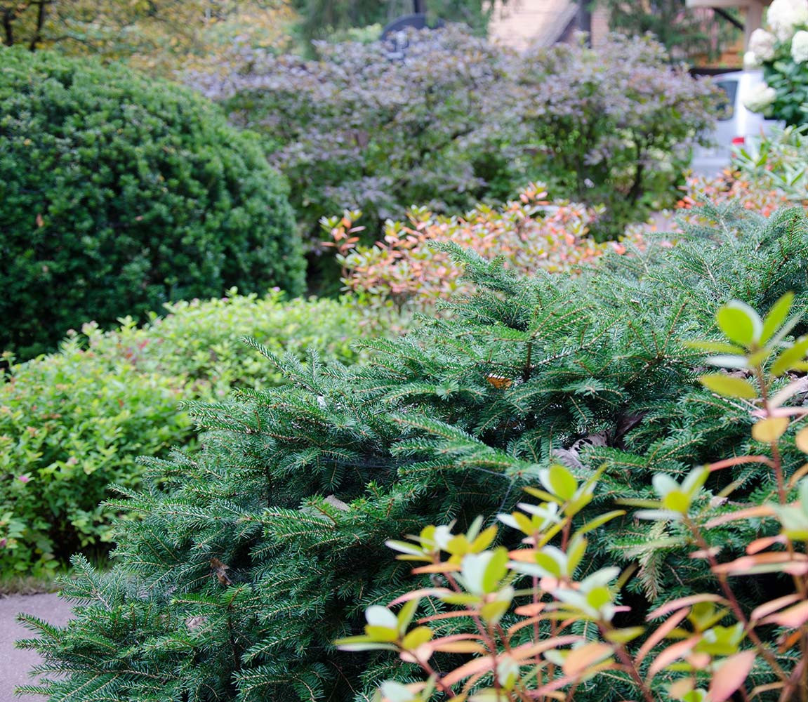 Ландшафтный сад КП "Новоглаголево", Киевское шоссе