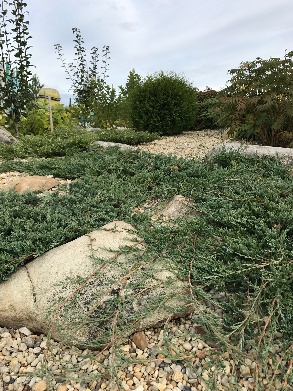 Боярская Станица