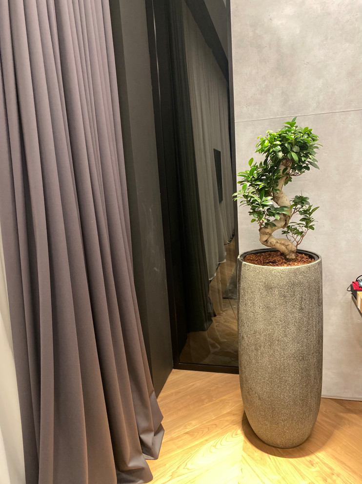 Озеленение квартиры ЖК Реноме