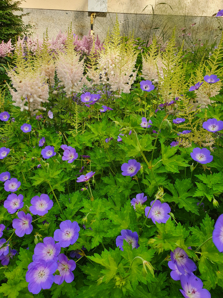 Частный сад