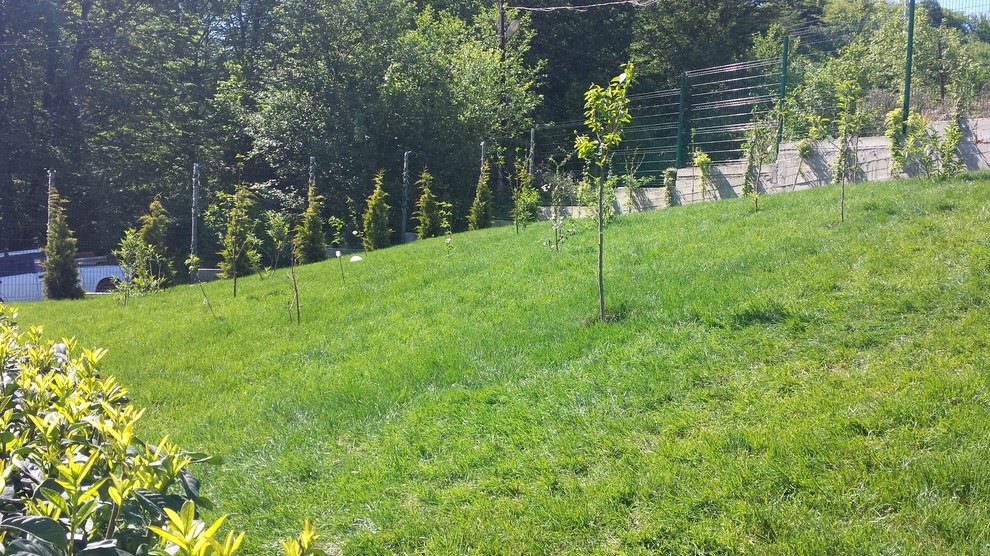 Благоуствойство частного домовладения