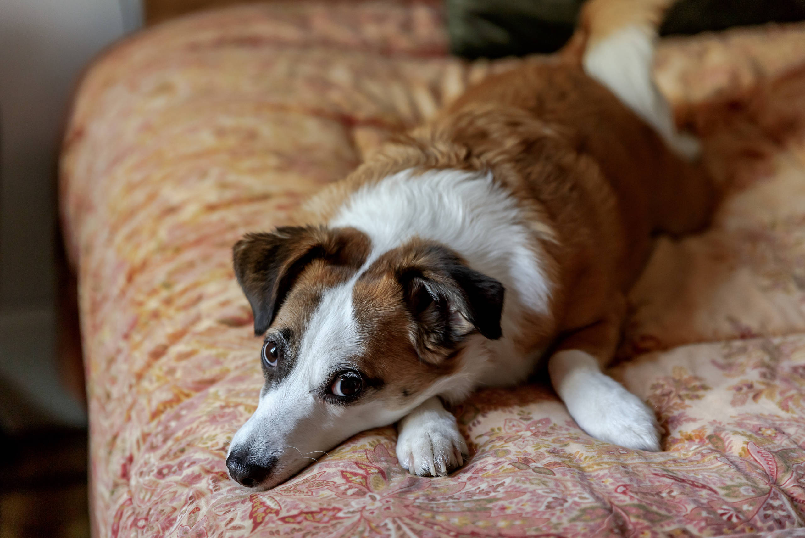 В гостях: Квартира на Патриарших, где всё восстановили