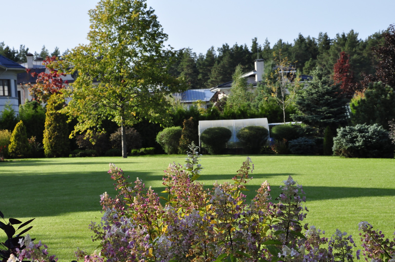 кп "Бенелюкс" - Уход за садом - 100% качество