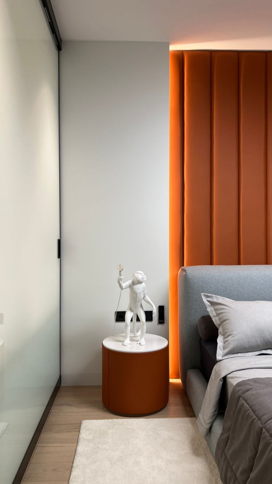 Фотосессия  - двери, мебель и перегородки в московской квартире