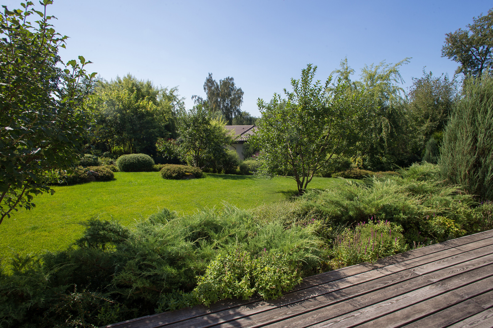 Garden of Elena Astashkina in Moscow Region