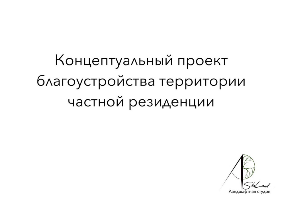 Солнце в кронах