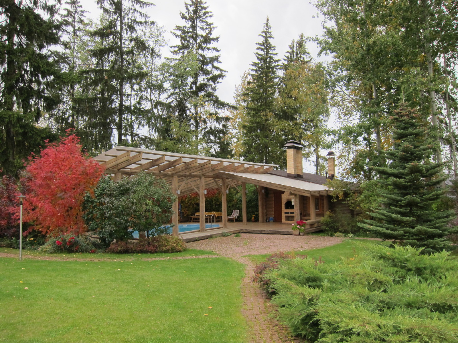 Лесная жизнь