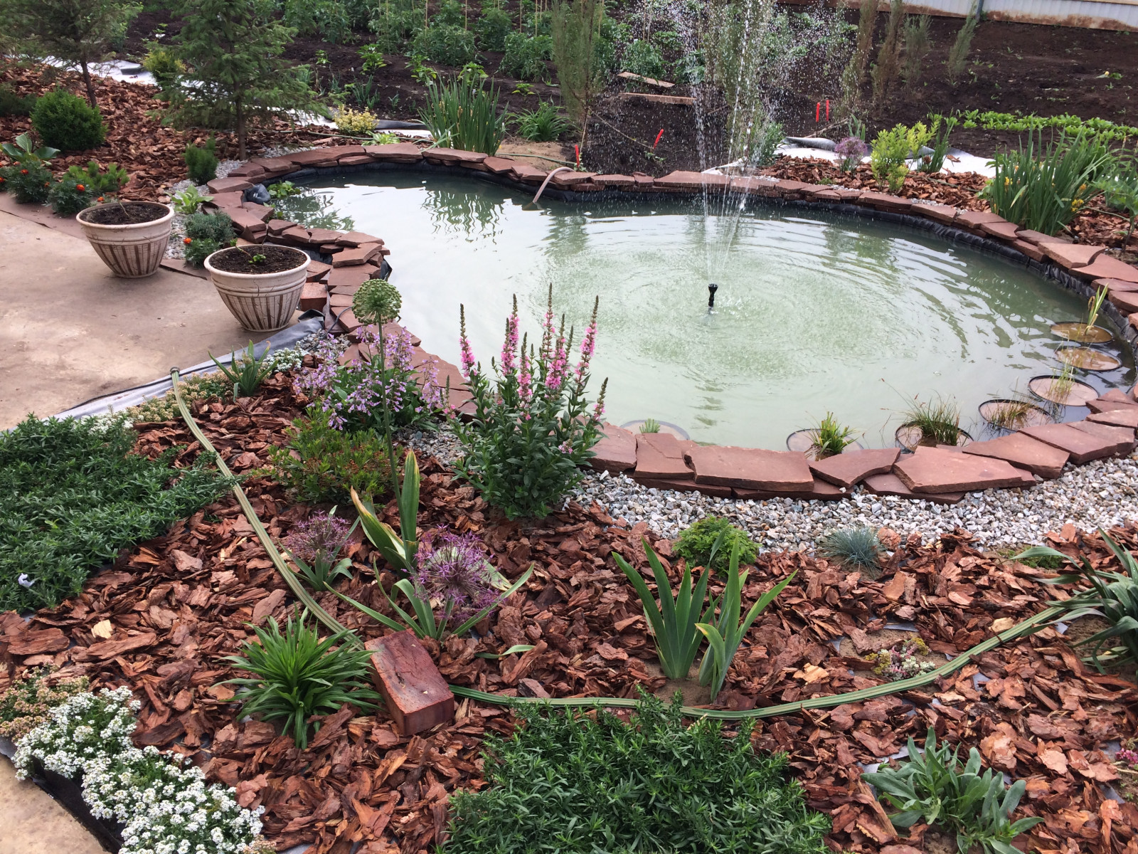 Садовый пруд с мостиком