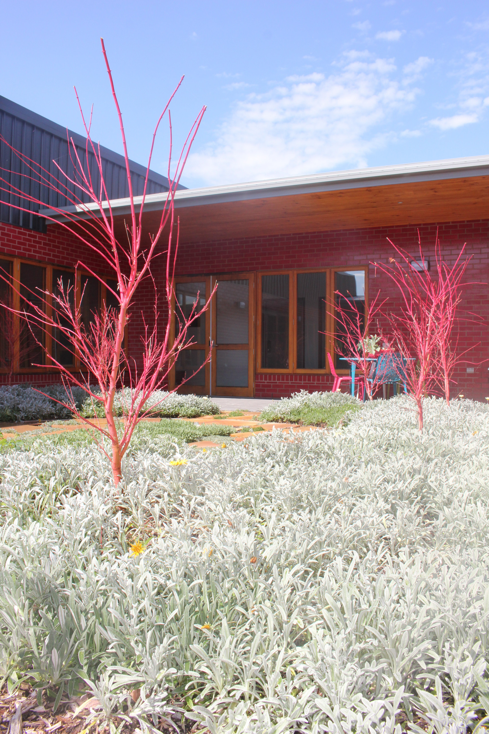 Сад без клумб: Оставляем только деревья и кустарники