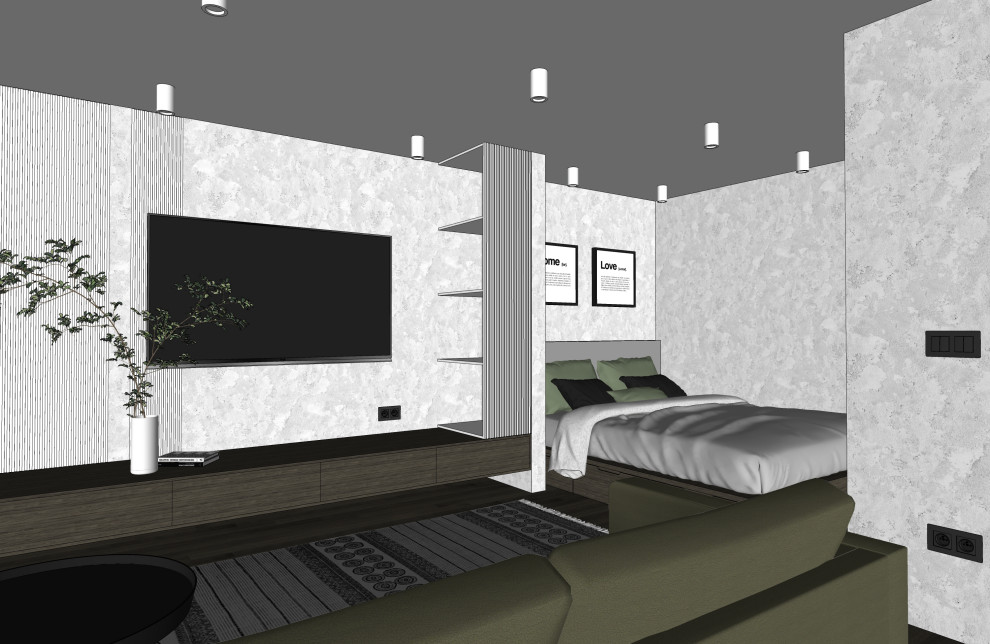 Эскизная визуализация гостиной со спальной зоной в квартире-студии