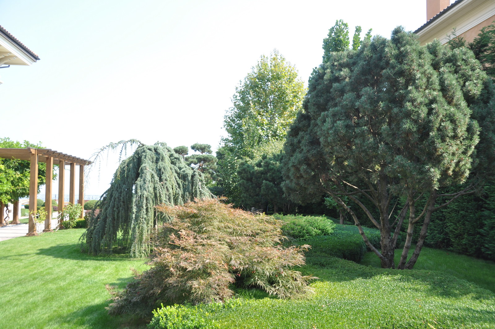 Classic Italian garden. / Классический итальянский сад.