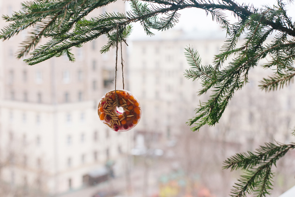 DIY: Ледяная кормушка для птиц своими руками