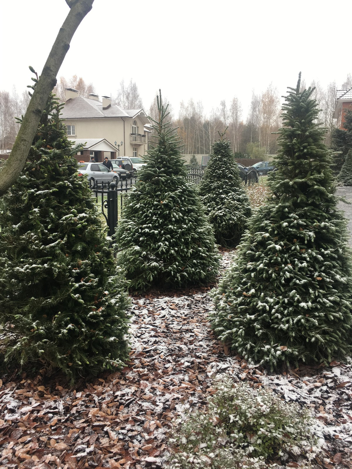 КП Снегири "Сад в пейзажном стиле" 50 соток