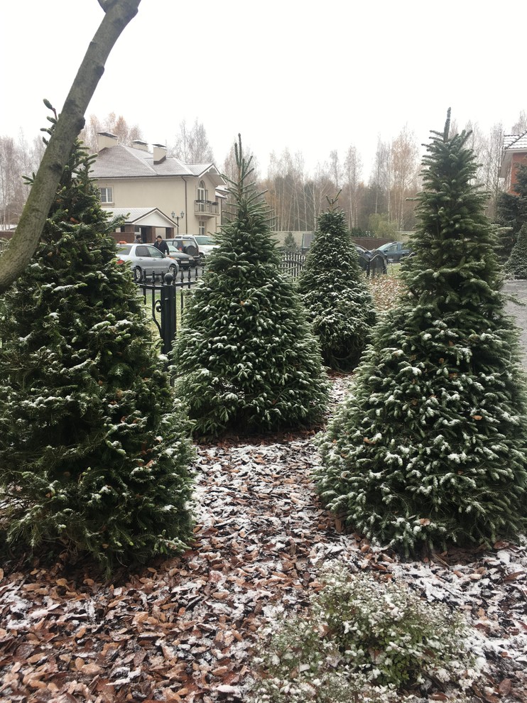 КП Снегири "Сад в пейзажном стиле" 50 соток