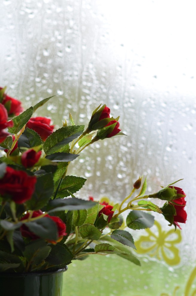 Гостевой домик в деревне (Новгородская область)