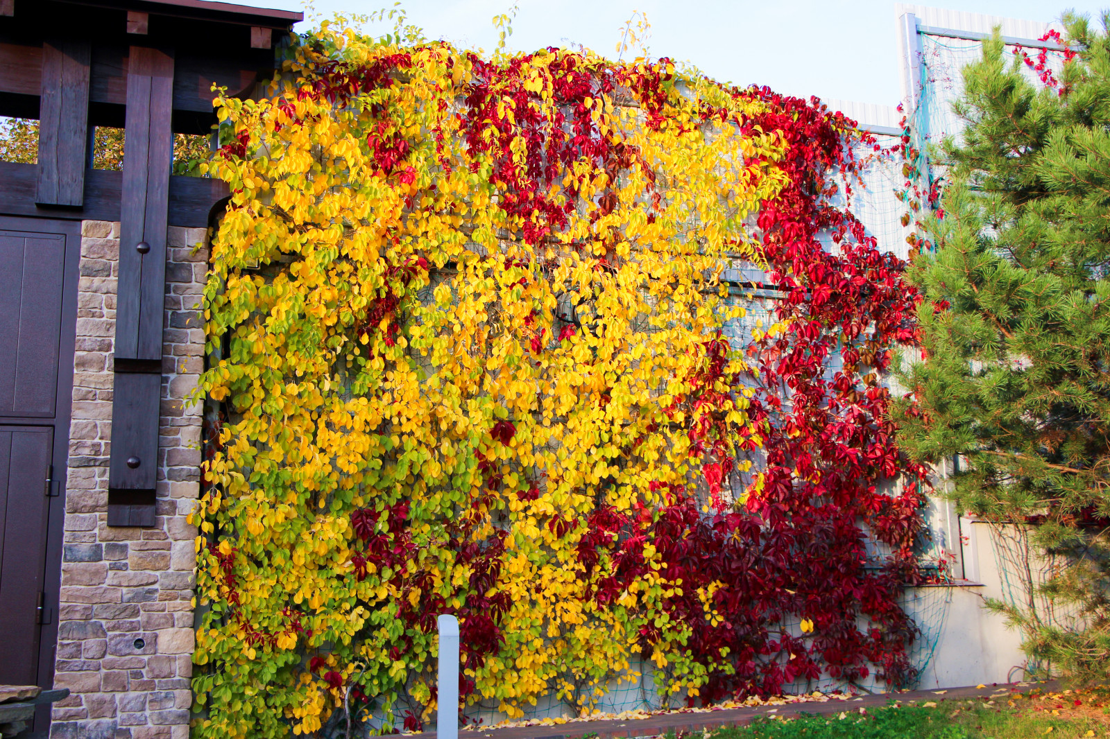 Лобаново, 2012-2021 гг.