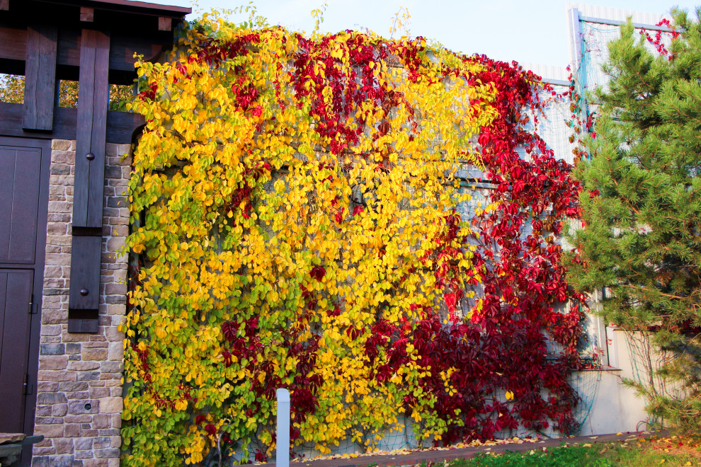 Лобаново, 2012-2021 гг.