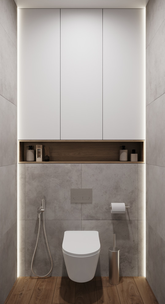 Современный сканди