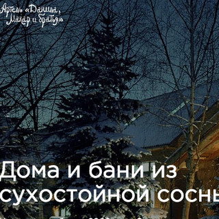 Митя Литвинов