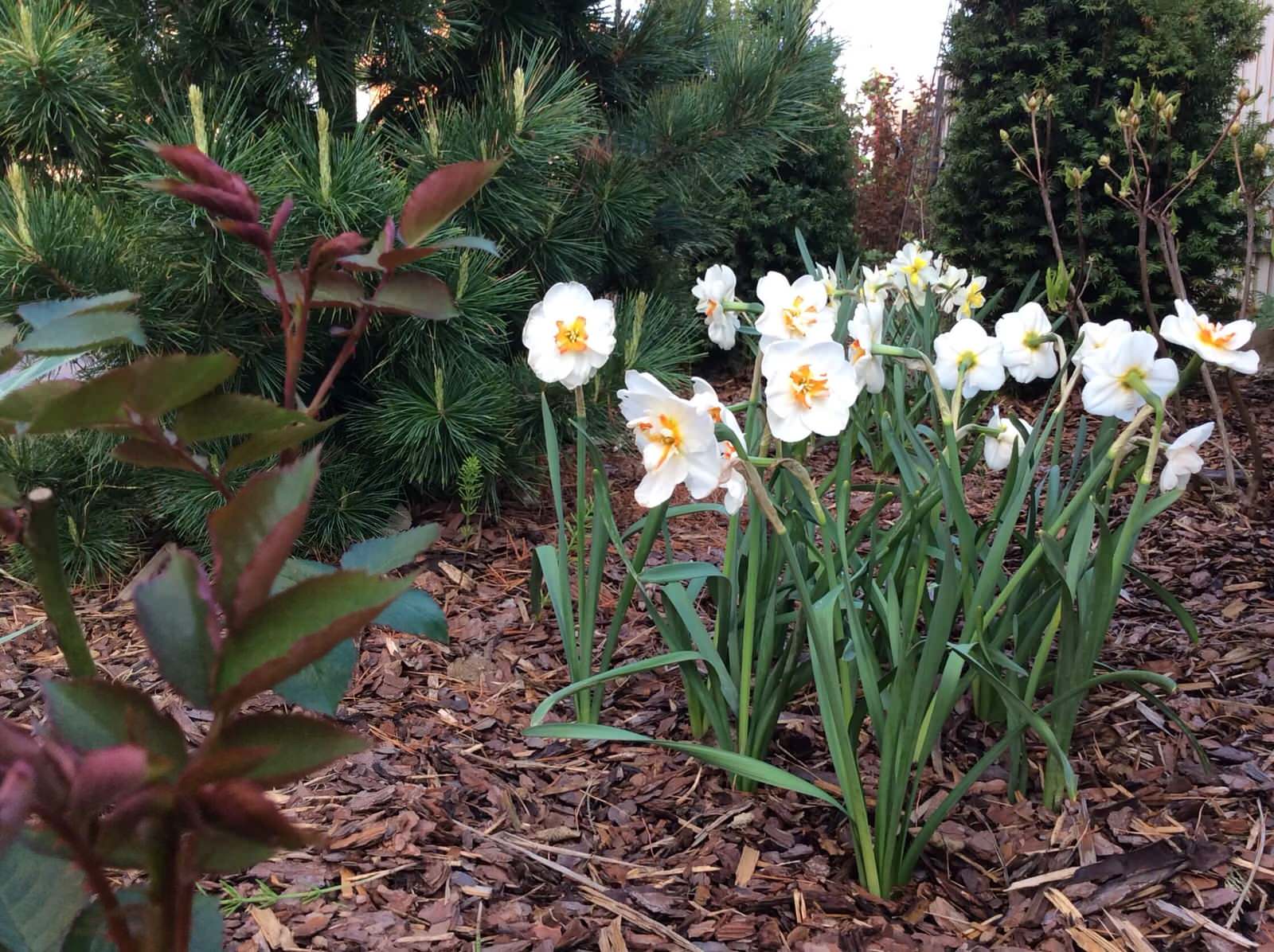 СНЫ О ЧЕМ_ТО БОЛЬШЕМ...