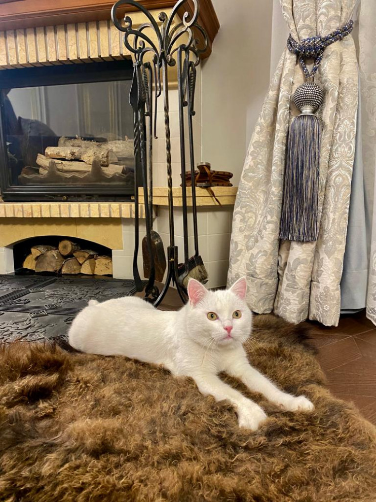 Интерьерный стилист Терехово