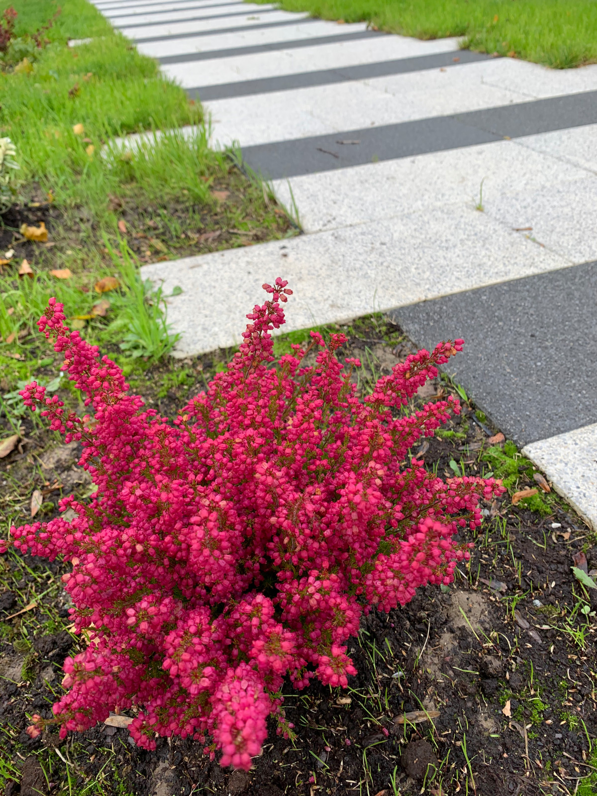 Дом для  отдыха на побережье Балтики
