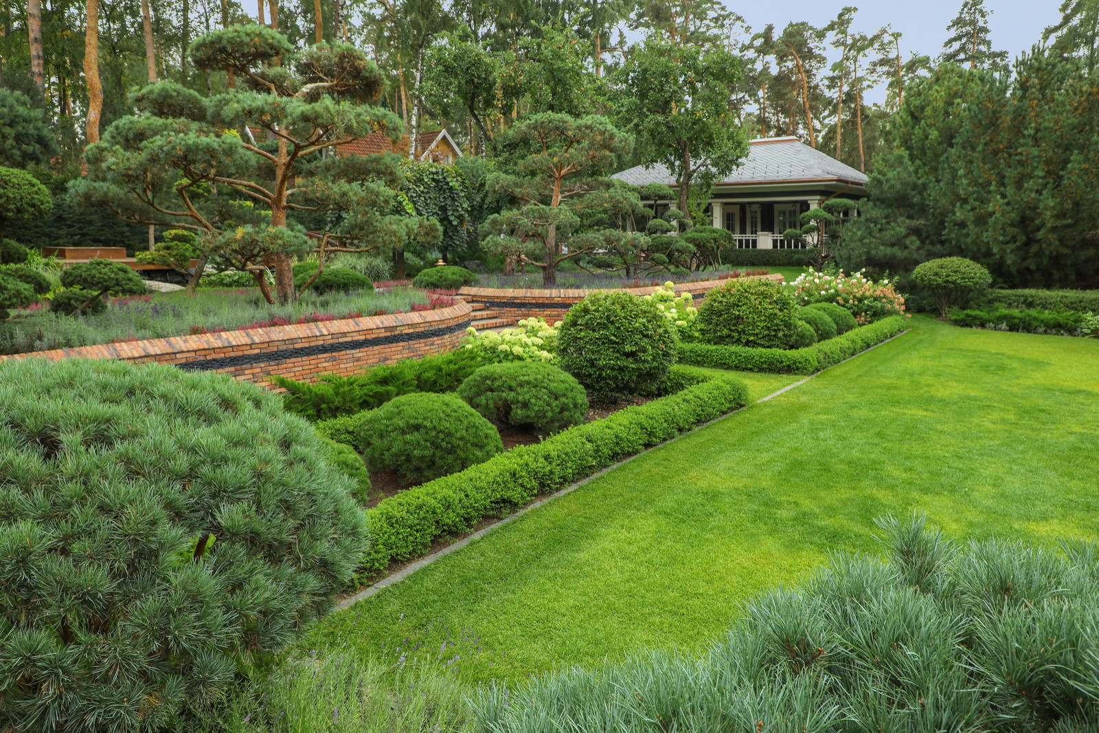 Коттеджный сад в Барвихе (дизайн и исполнение компании "Imperial Garden")