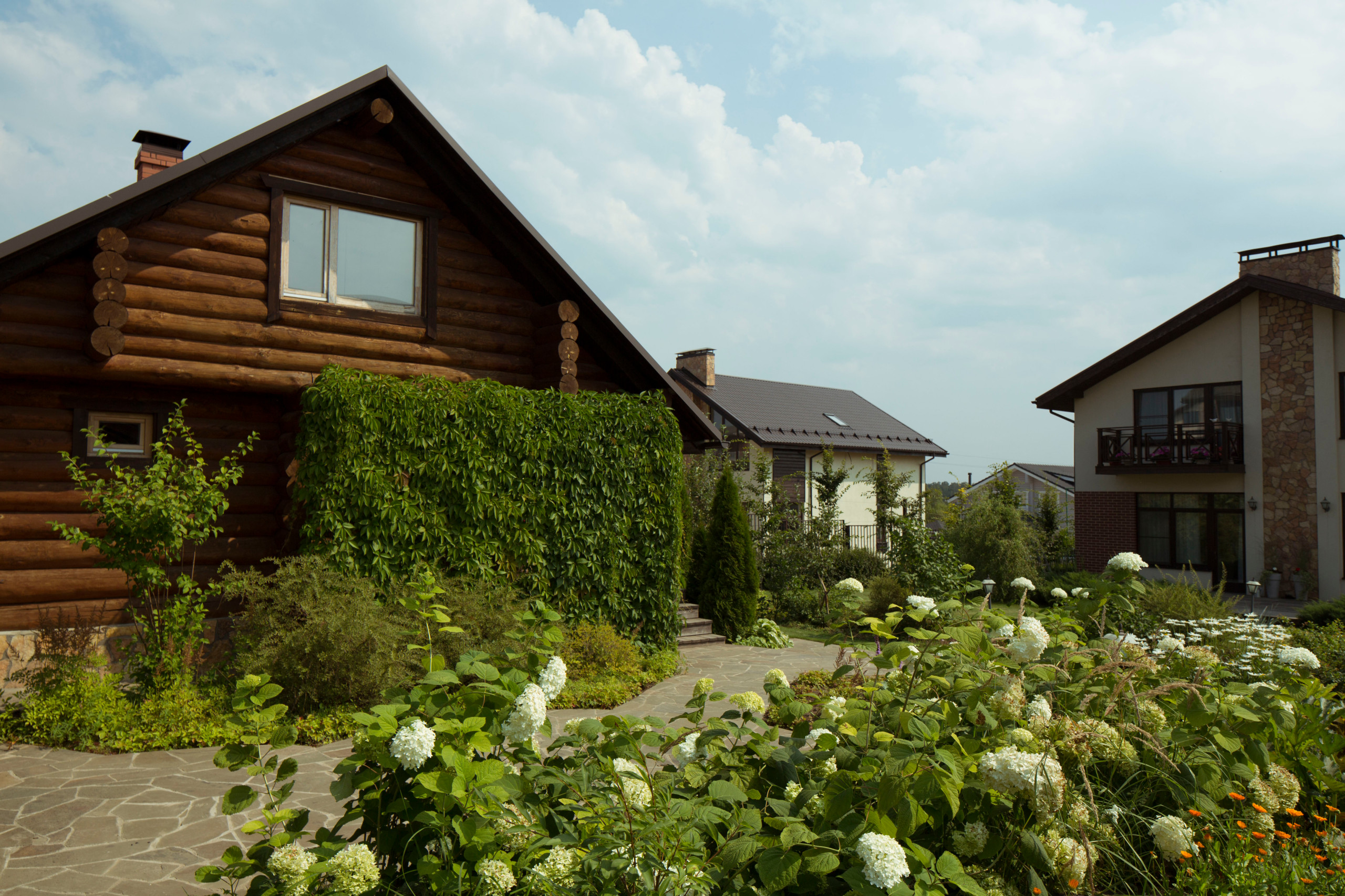 В гостях: Участок с фамильными дубами и баней в срубе