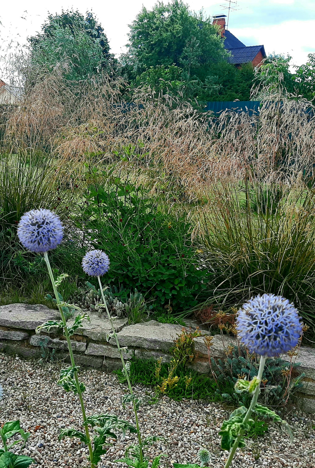 Гравийный садик