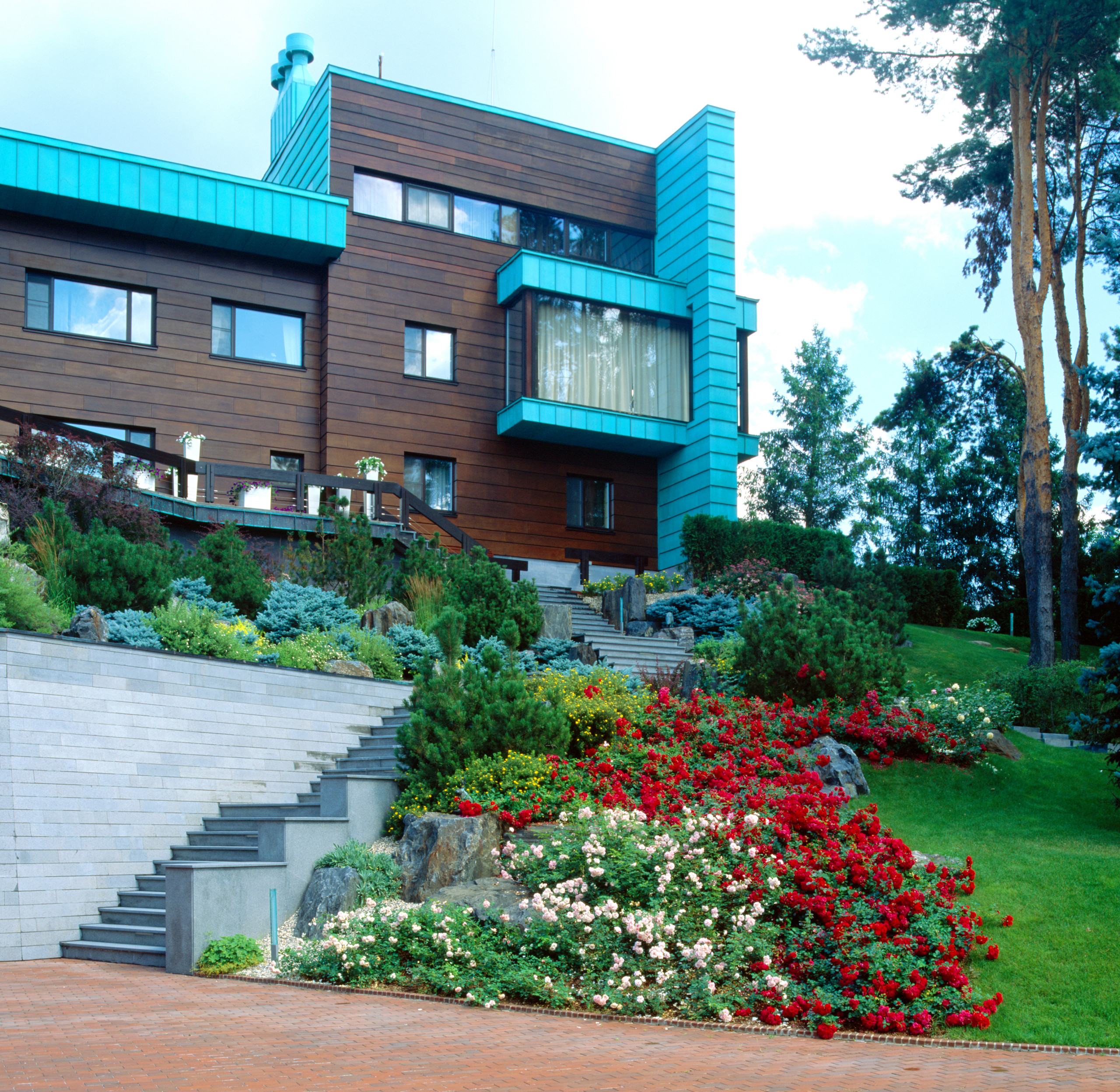 Солнцелюбивые растения для сада: 11 сценариев посадки