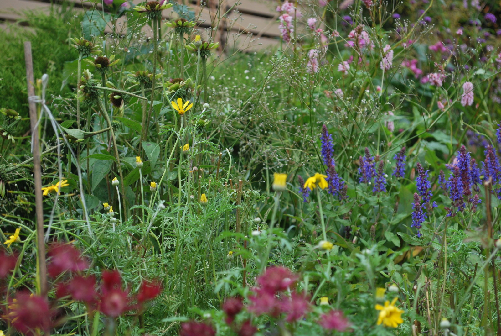 Сад натуралистического стиля