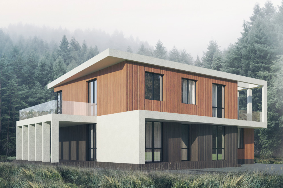 Концепция загородного дома, пример начальной-вариативной стадии проектирования.