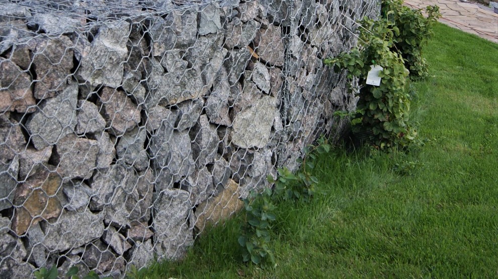 ИЗ ВАРЯГ В ГРЕКИ