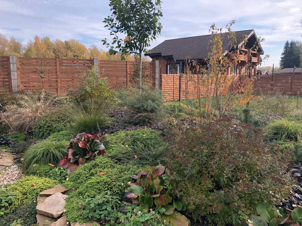 ЯГОДНОЕ ЛУКОШКО. ОСЕНЬ 2018