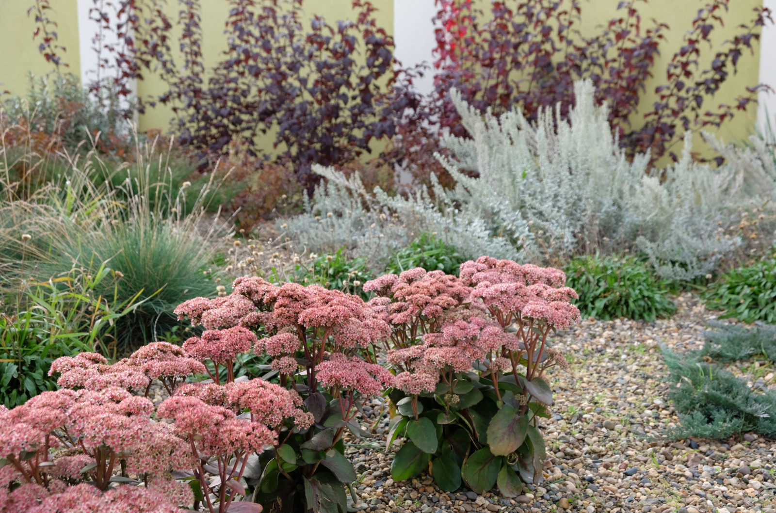 Обложка альбома: Ландшафт