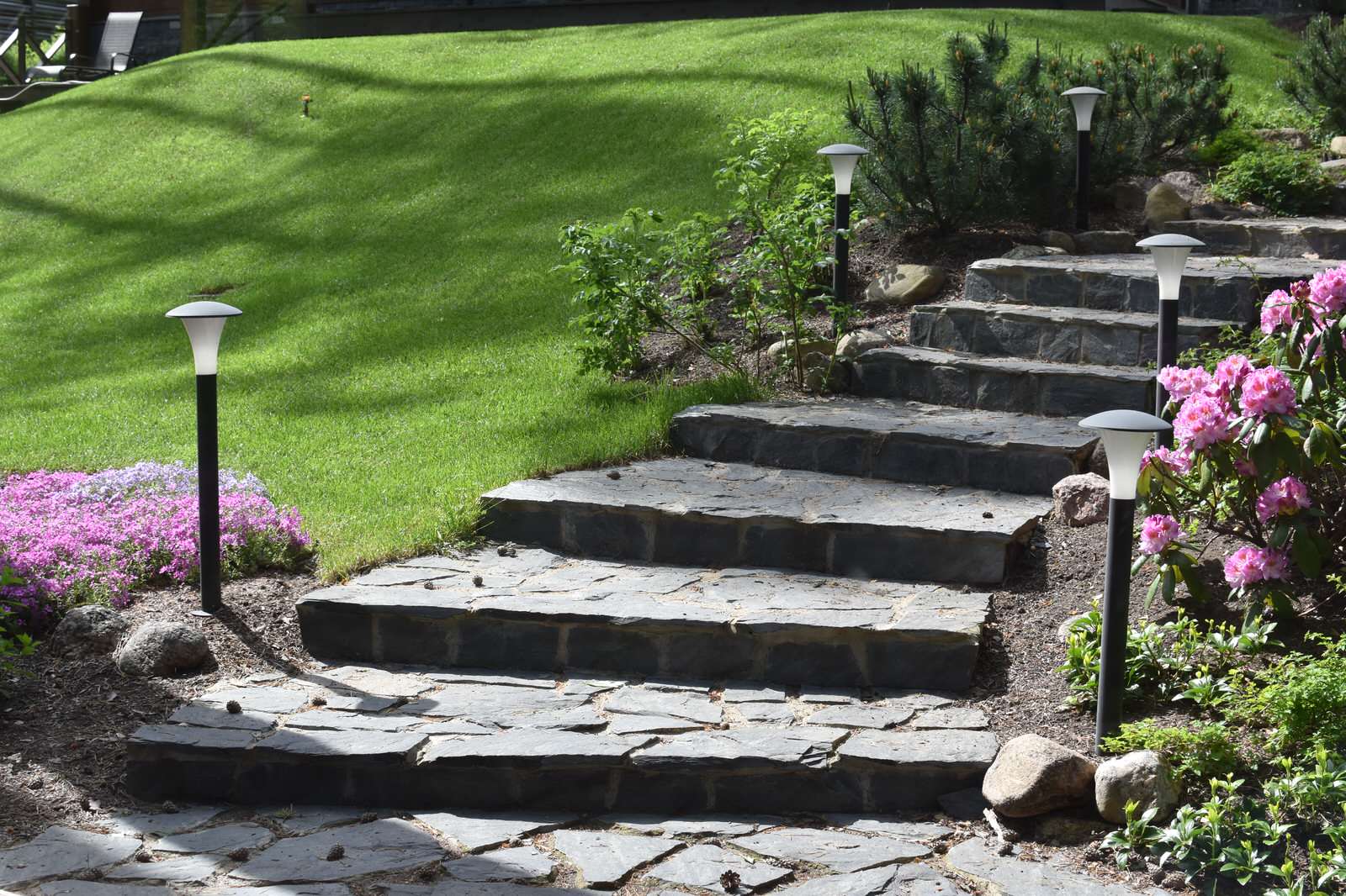 Сад в Карельском лесу