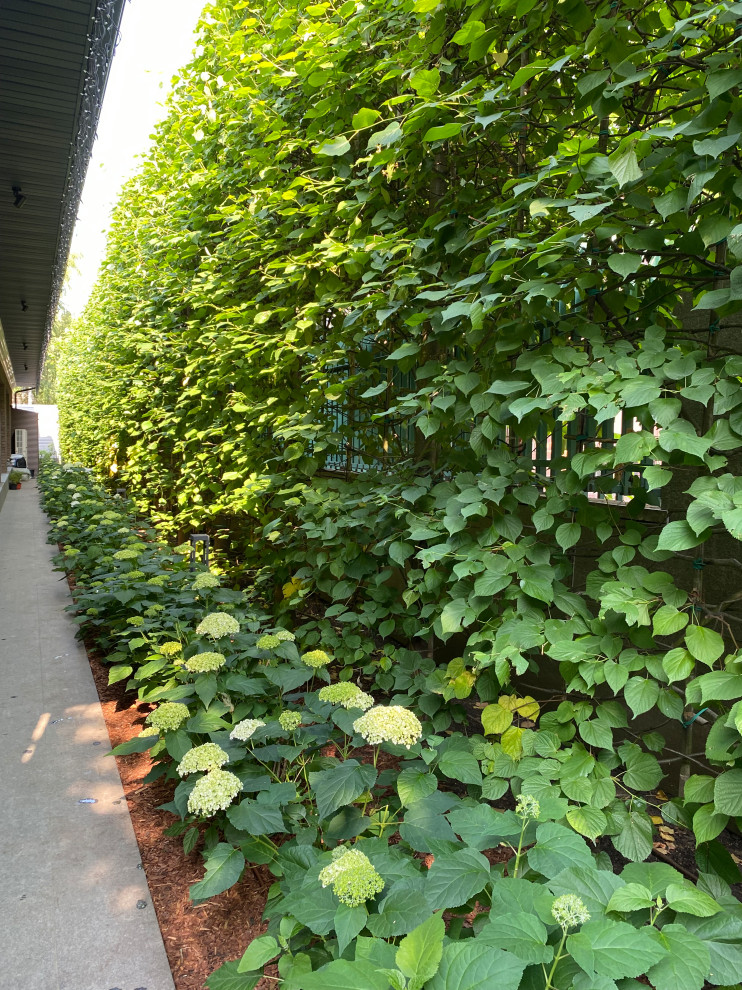 Обложка проекта: Раздоры