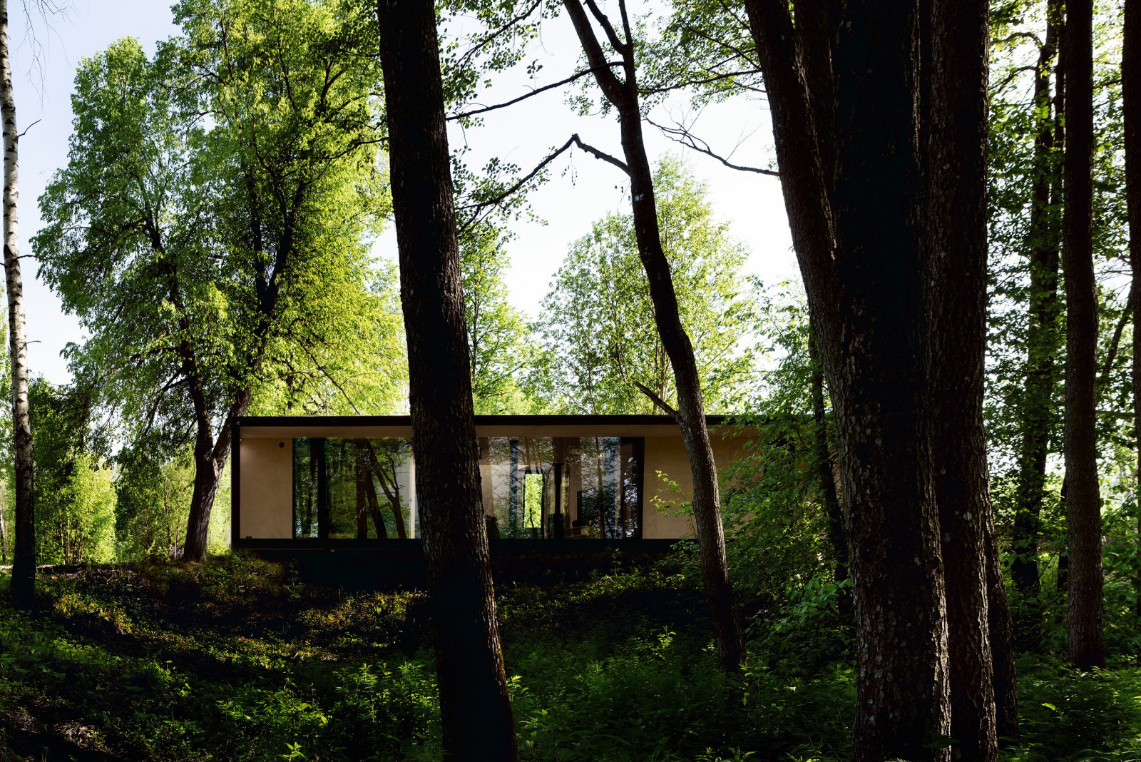 Обложка проекта: DOM 125M