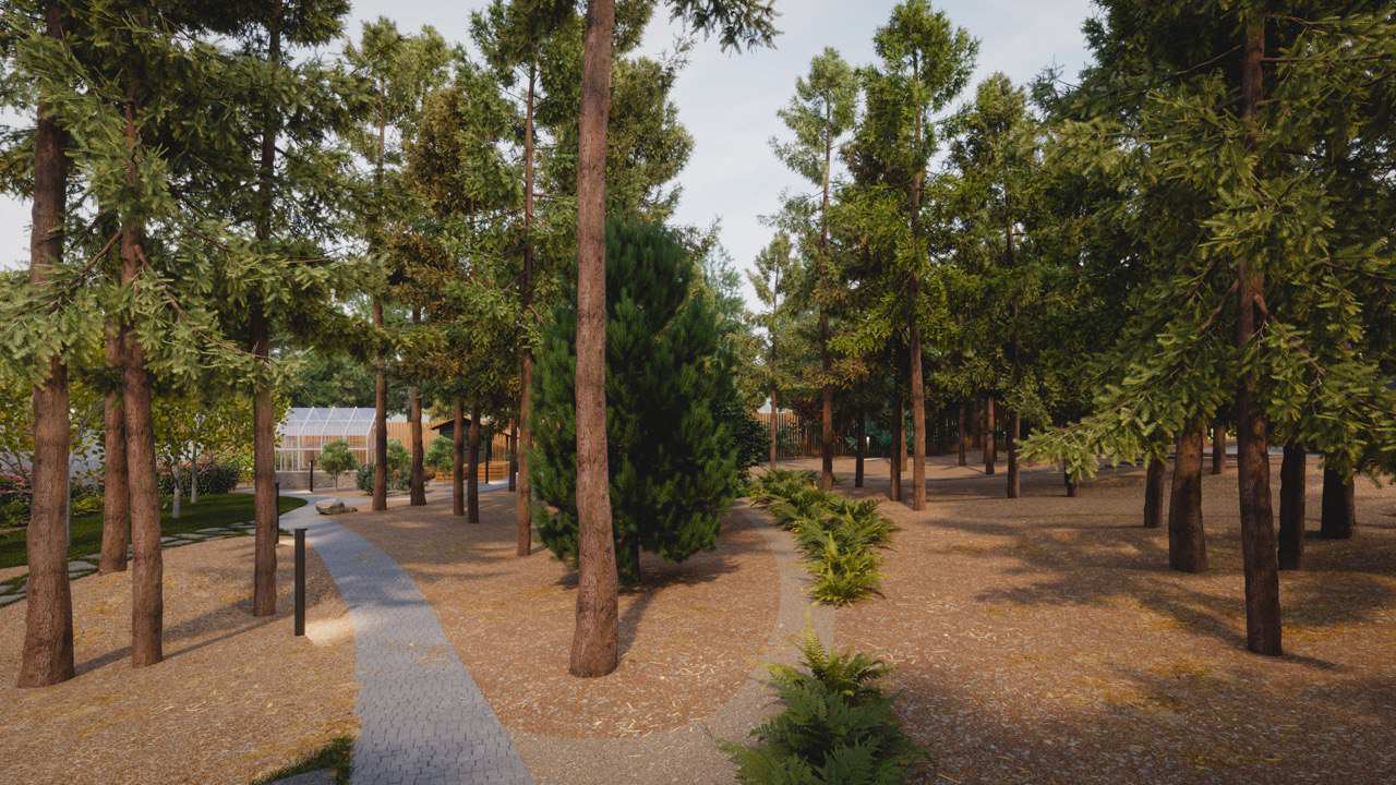 Обложка проекта: Завораживающий лес