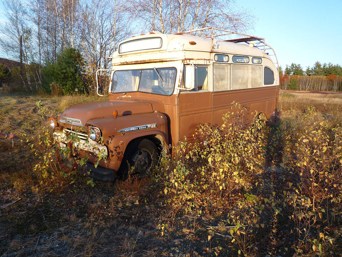 Houzz США: Хиппи-шик в автобусе «Шевроле» 1959 года