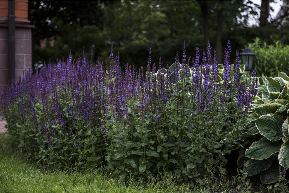 В гостях: Сад в идеальной форме... круга